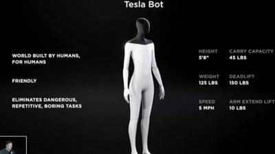 tesla bot