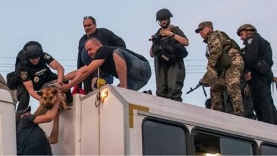 People and dogs being lifted from the roof of a truck