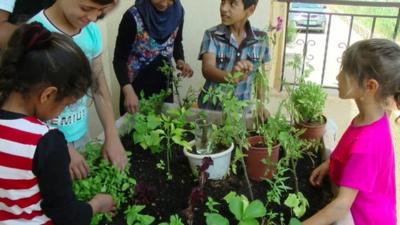 Children gardening