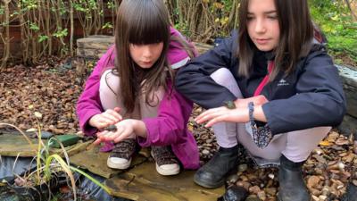 Polly-Rosina-snails