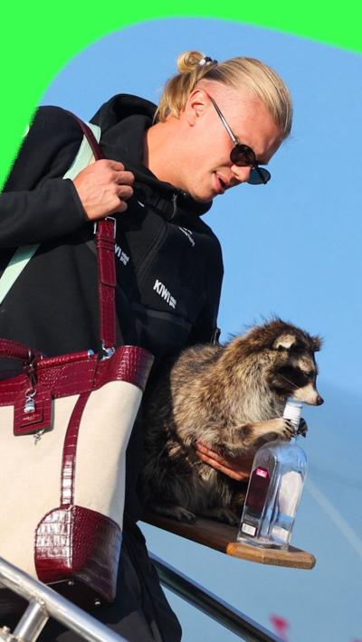 Erling Haaland and his taxidermy raccoon