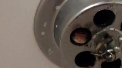 A man was having a shower when a snake slithered into his bath tub from the overflow pipe.