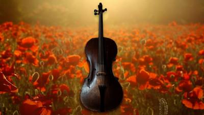 The Great War Cello