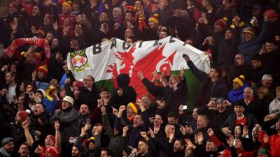 Wales fans