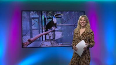 Jenny on the Newsround set