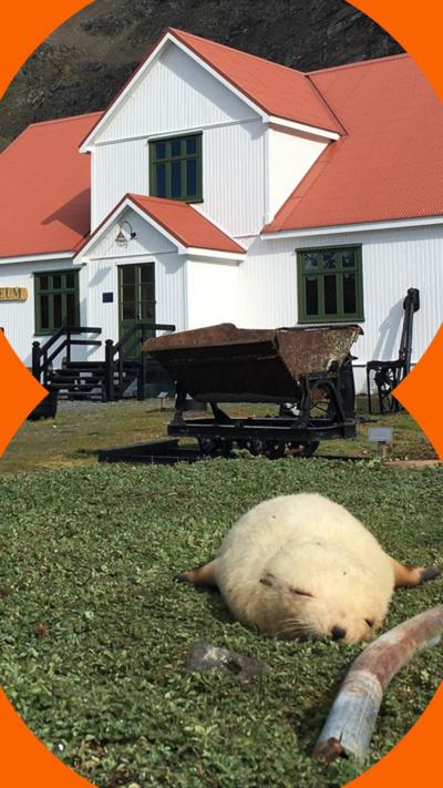 South Georgia Whaling Museum © BBC