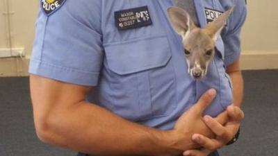 Joey with police officer