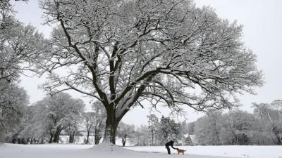 A man walks a dog in the grounds of Braco Castle in Pethshire