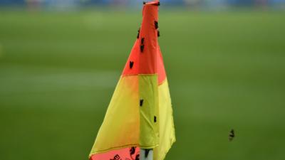 Moths at the Stade de France