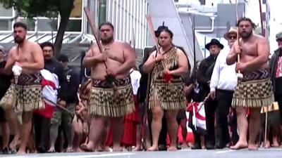 People dressed in traditional Maori attire march in Wellington