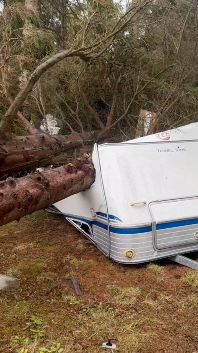 A tree trunk crashes through the roof of a caravan, flattening it