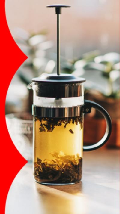 Green tea with fresh mint leaves brewed in a French press on a white table by the window.