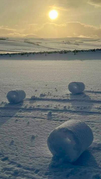 Snowy field with snow rollers in Orkney.