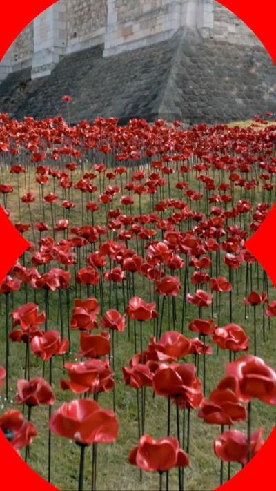 Ceramic poppies at the Tower of London