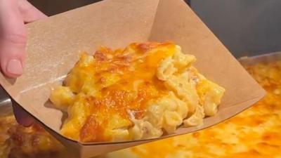 A serving of macaroni cheese
