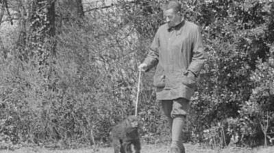 Roy Rothery walks his dog