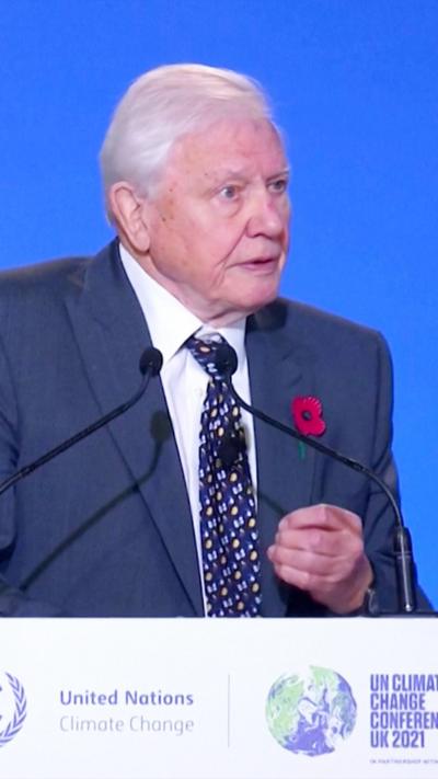 Attenborough in a suit, speaking at a United Nations climate conference lectern, with the UK flag behind him