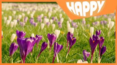 Flowesr and the Happy logo