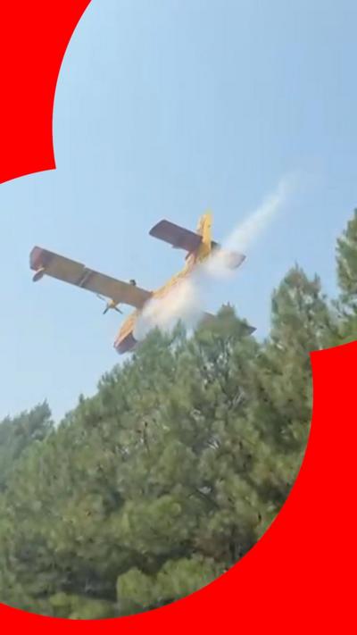 Aircraft dropping water above forest 