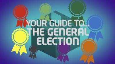 Newsround election graphic