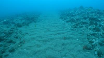 Seabed damage