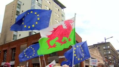 EU and Welsh flags