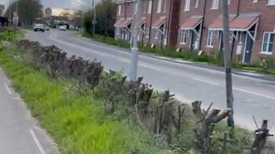 The hedge was between the road and the path