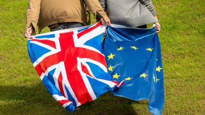 People holding GB and EU flags