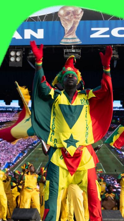 Senegal fan