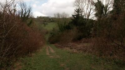 Farthing Downs in Coulsdon