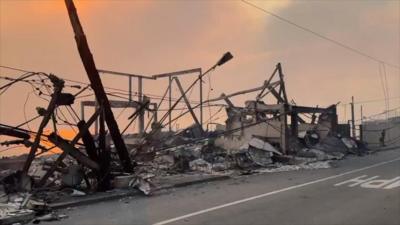 Only the steel and concrete frames of former homes can be made out among the ash in a devastated Malibu street 