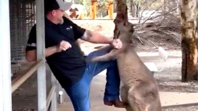 Man pushes kangaroo away with his arm and leg