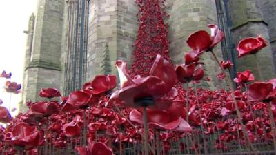 The poppies at Hereford Cathedral