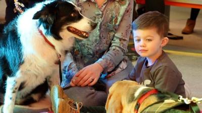 Pooches of all shapes and sizes settled in for book readings with their owners.