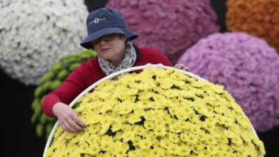 Lady arranging flowers at Chelsea Flower Show