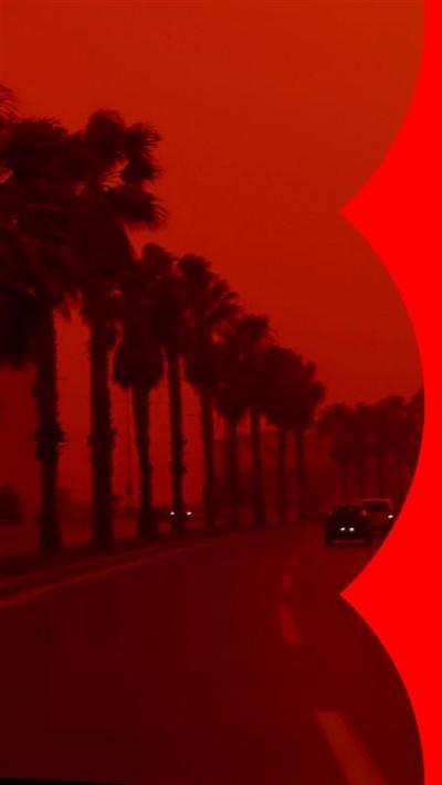 Palm trees against a red sky. Cars are on a road below