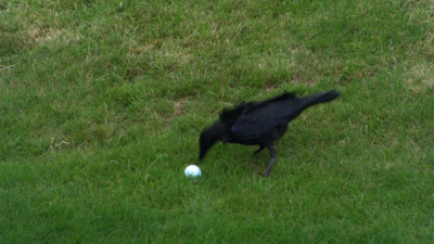 Women's British Open 2015: Crow attacks ball