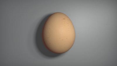 A chicken's egg on a grey background