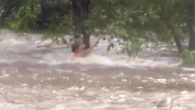 Man in water clutching to tree