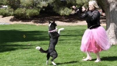 Woman dancing with her dog