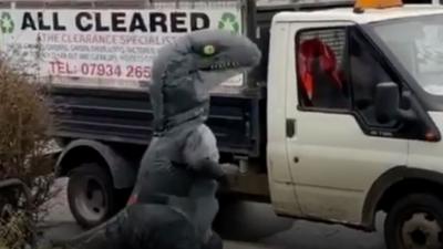 Dinosaur costume