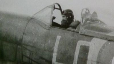 Spitfire Paddy in a plane