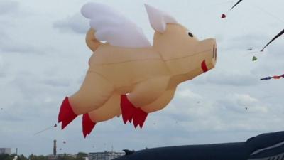 Giant Kite Festival