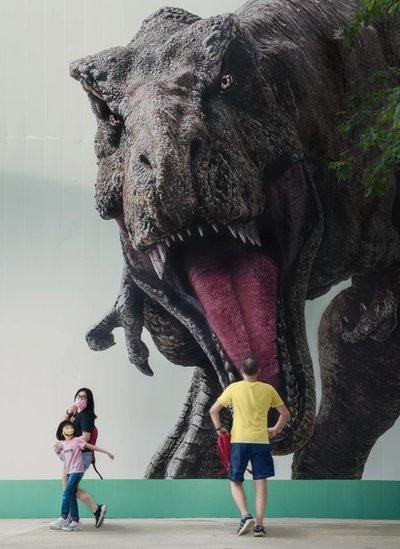 A man is staring back at a life-sized photo of a T-Rex Singapore