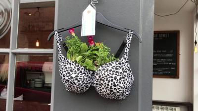 Bra hanging basket