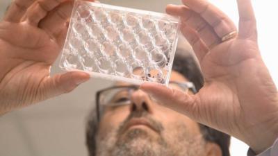 Scientist holding a container while doing research on Zika