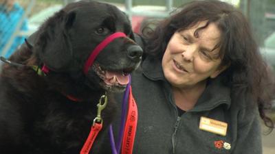 Bailey and his new owner