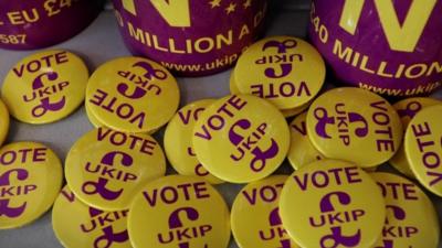 UKIP badges