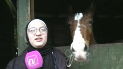 girl in hijab with horse