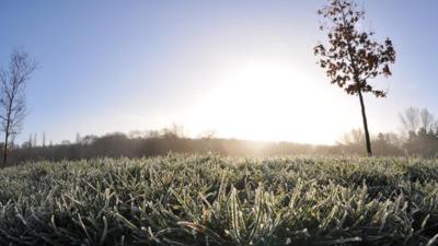 Frost on the grass with sunrise in the background